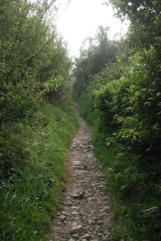 A lunchtime walk to clear the head.